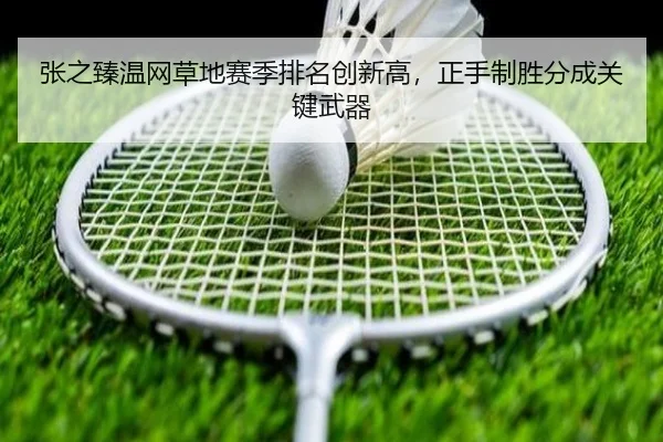 zhang-zhi-zhen-wen-wang-cao-di-sai-ji-pai-ming-chuang-xin-gao-zheng-shou-zhi-sheng-fen-cheng-guan-jian-wu-qi-3-756.jpg