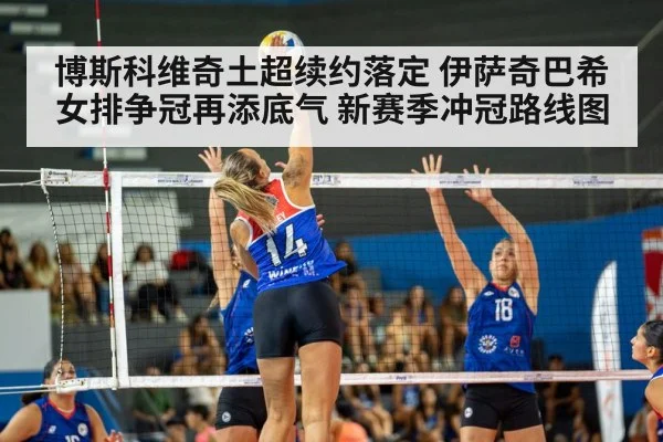 volleyball match arena